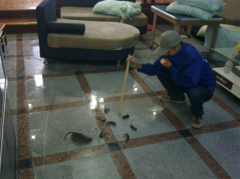 對(duì)家庭，小區(qū)四害防治處